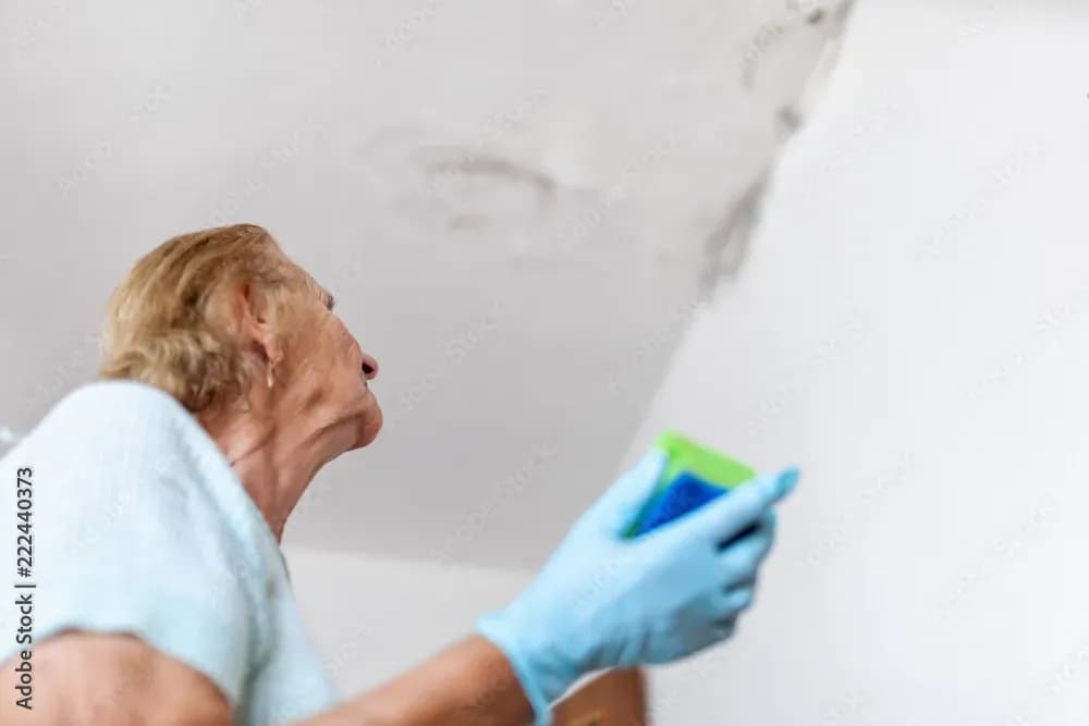 Professionelle Schimmelbeseitigung in Erfurt – Gesundheit schützen