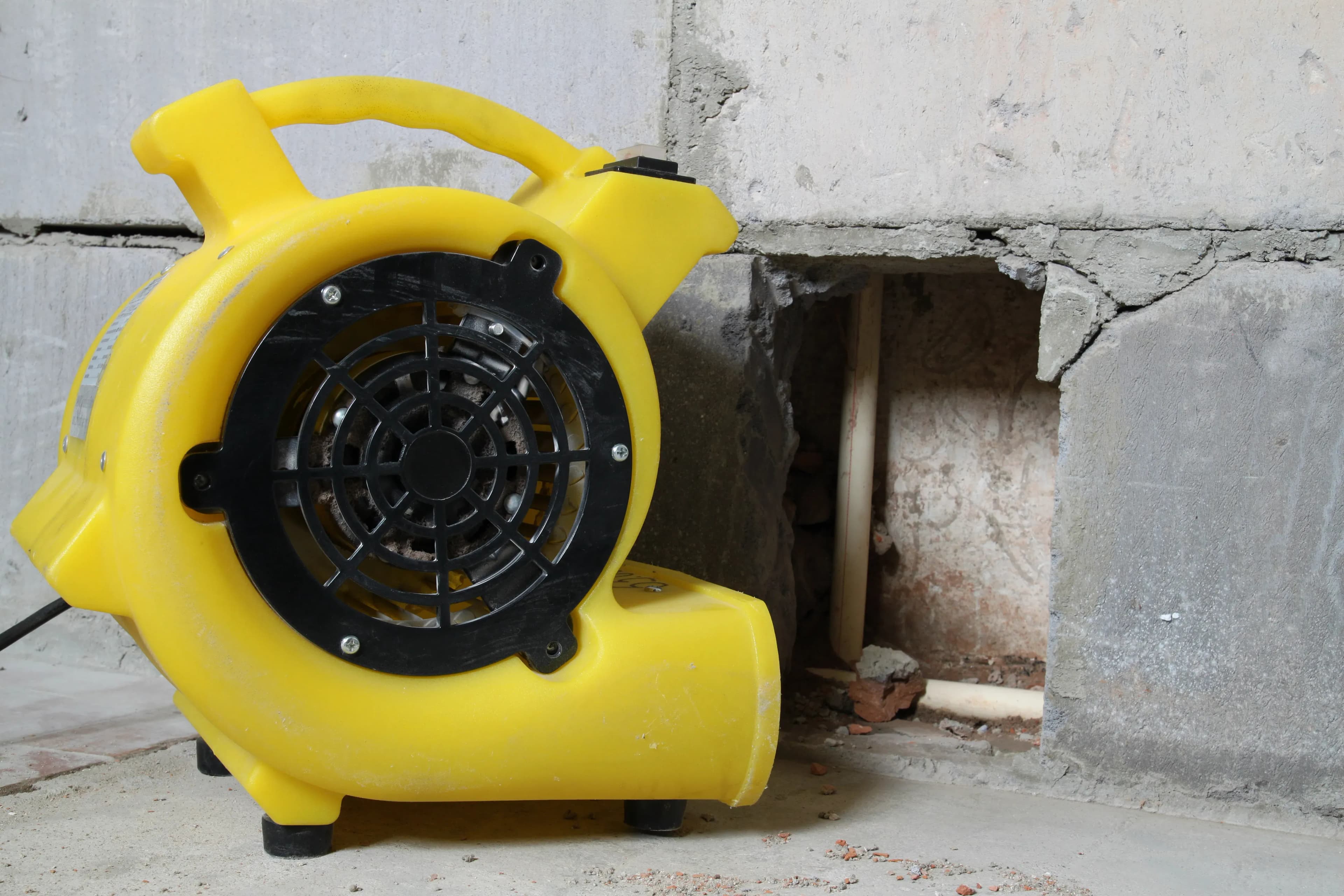 Feuchte Wände trocknen lassen in Goslar